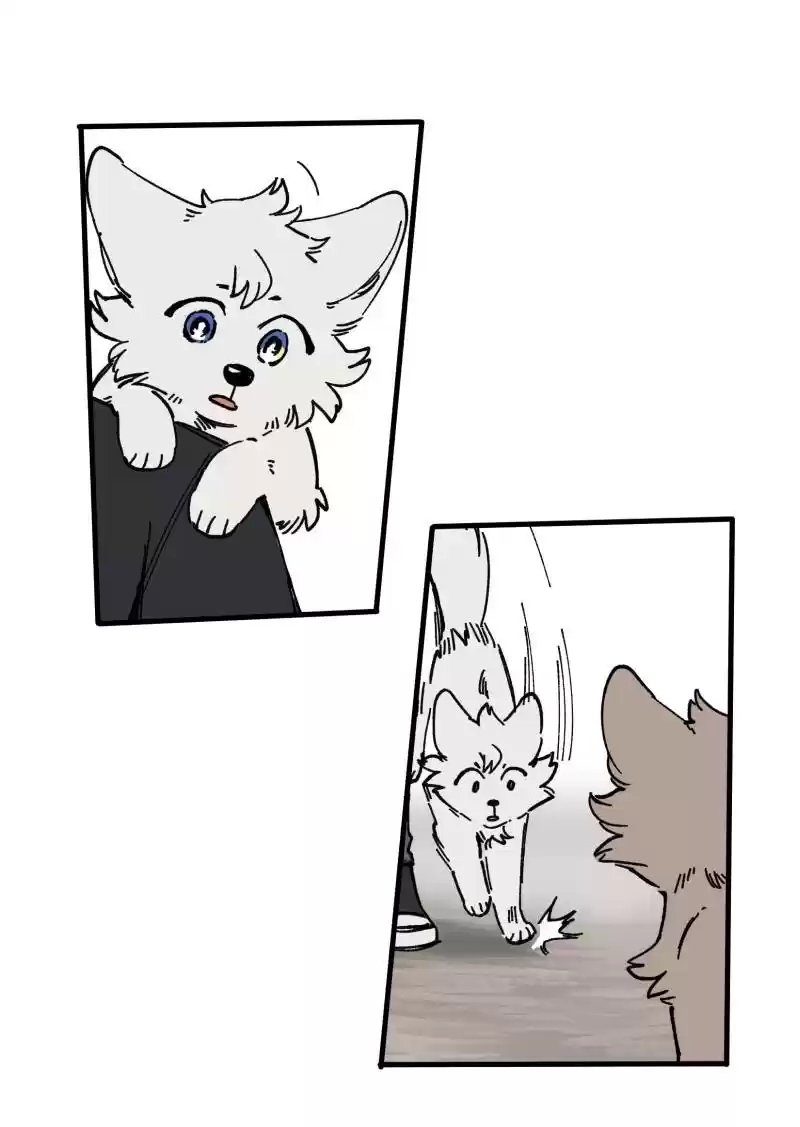 Read LUMINE Manga Online