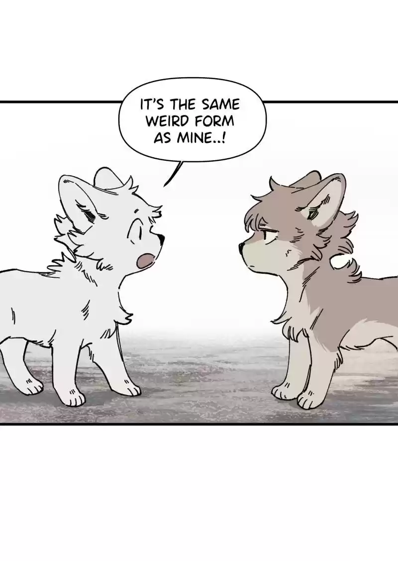 Read LUMINE Manga Online