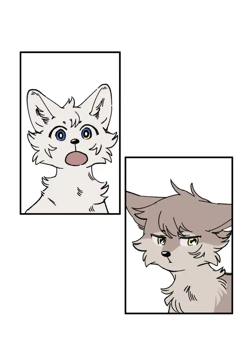 Read LUMINE Manga Online