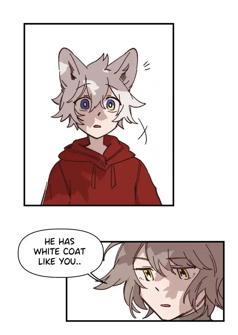 Read LUMINE Manga Online