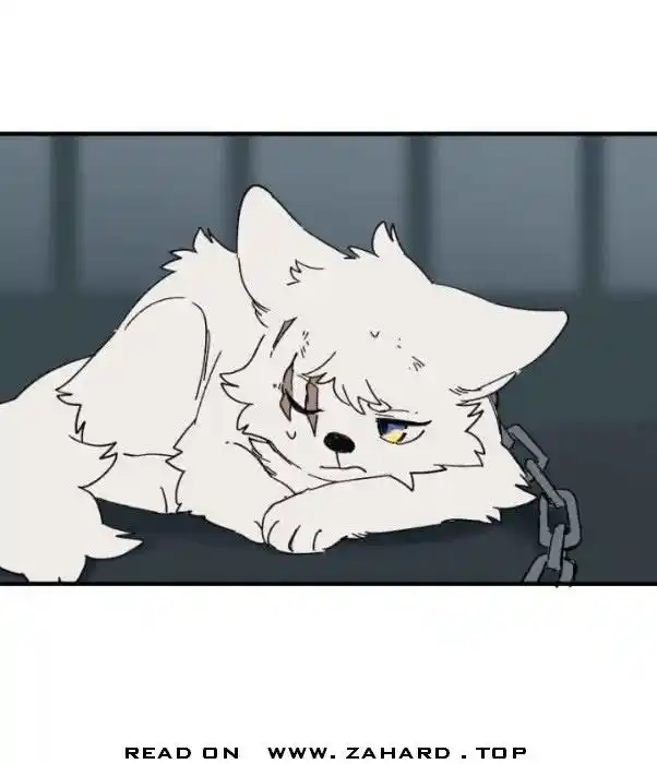 Read LUMINE Manga Online