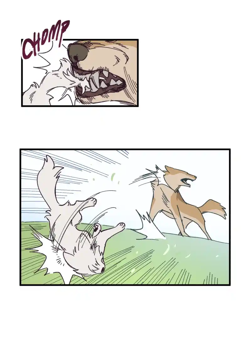 Read LUMINE Manga Online