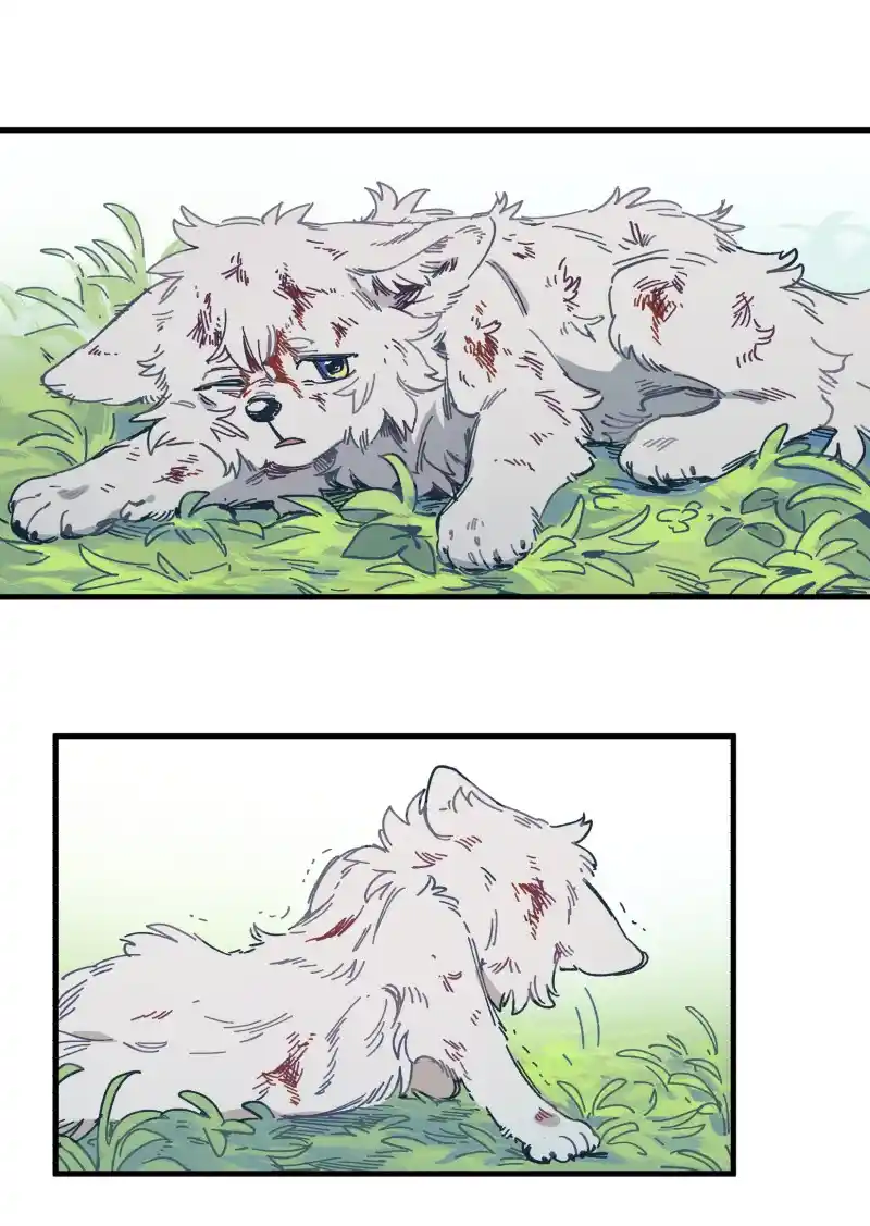 Read LUMINE Manga Online