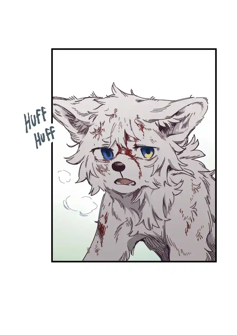 Read LUMINE Manga Online