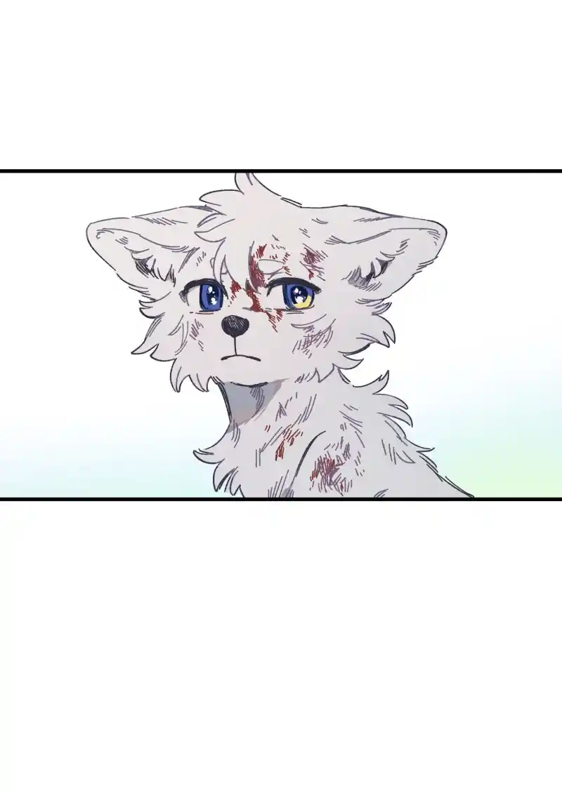 Read LUMINE Manga Online