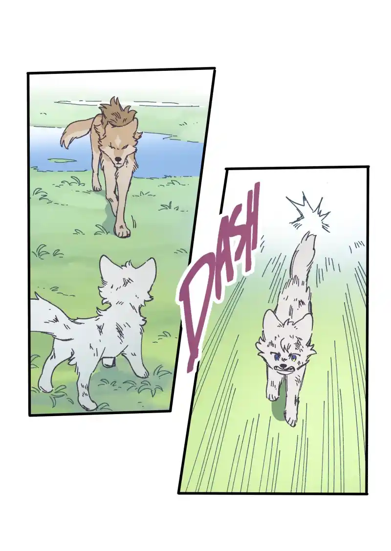 Read LUMINE Manga Online