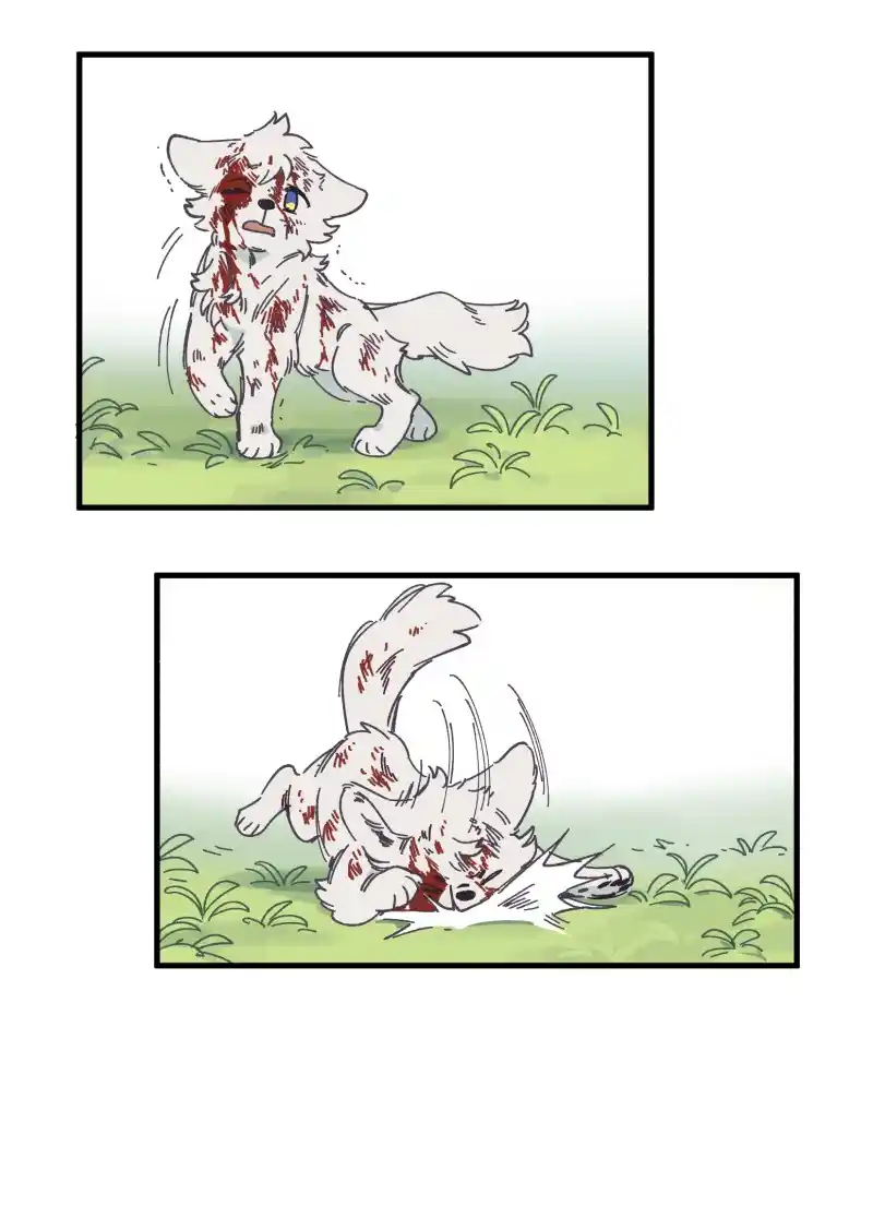 Read LUMINE Manga Online