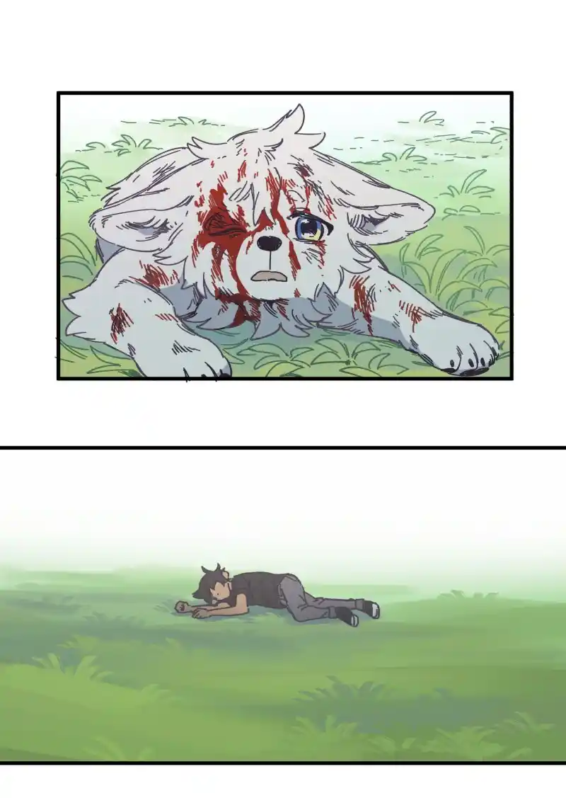 Read LUMINE Manga Online