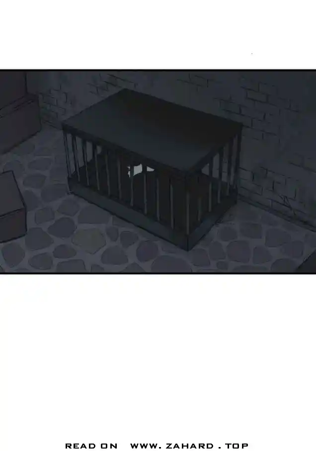 Read LUMINE Manga Online