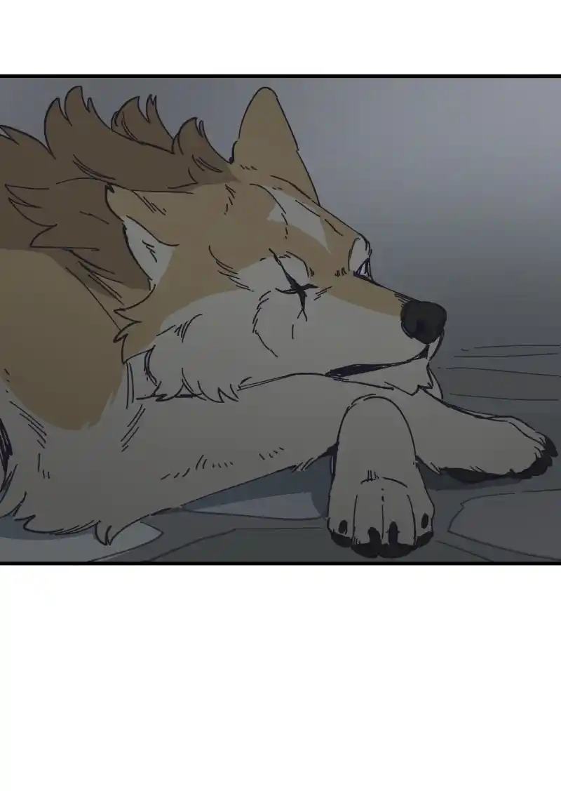 Read LUMINE Manga Online