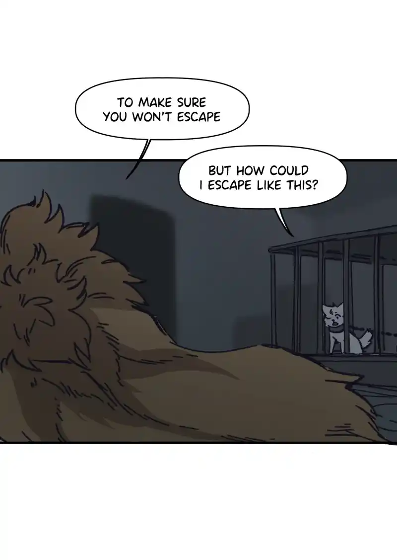 Read LUMINE Manga Online