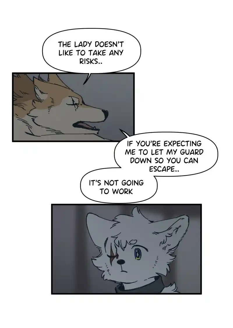 Read LUMINE Manga Online