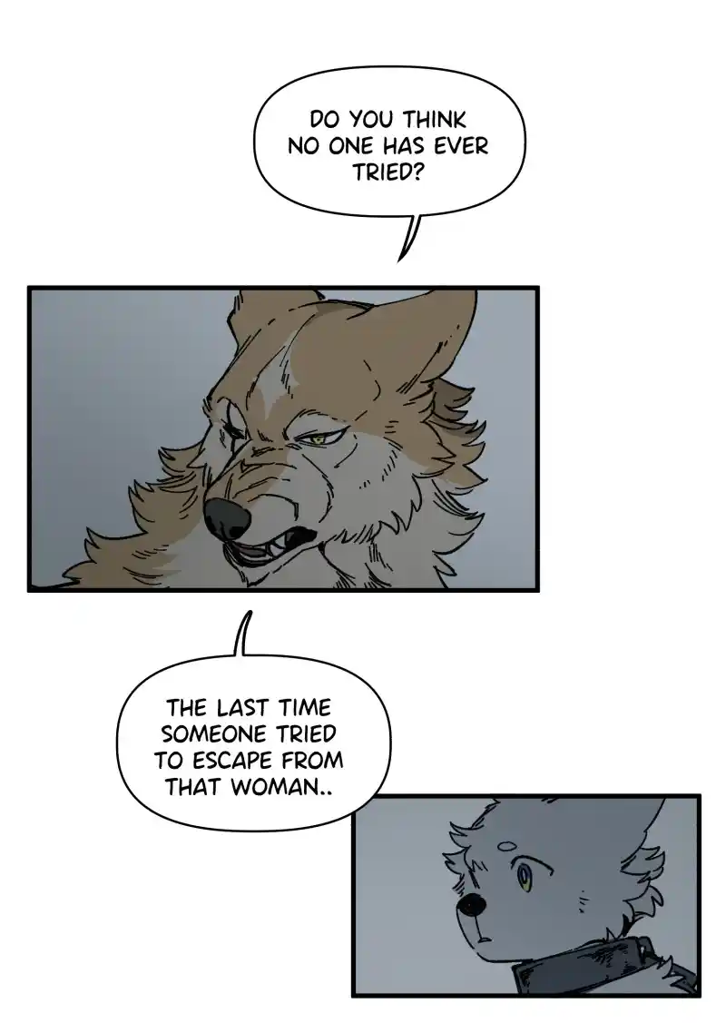 Read LUMINE Manga Online