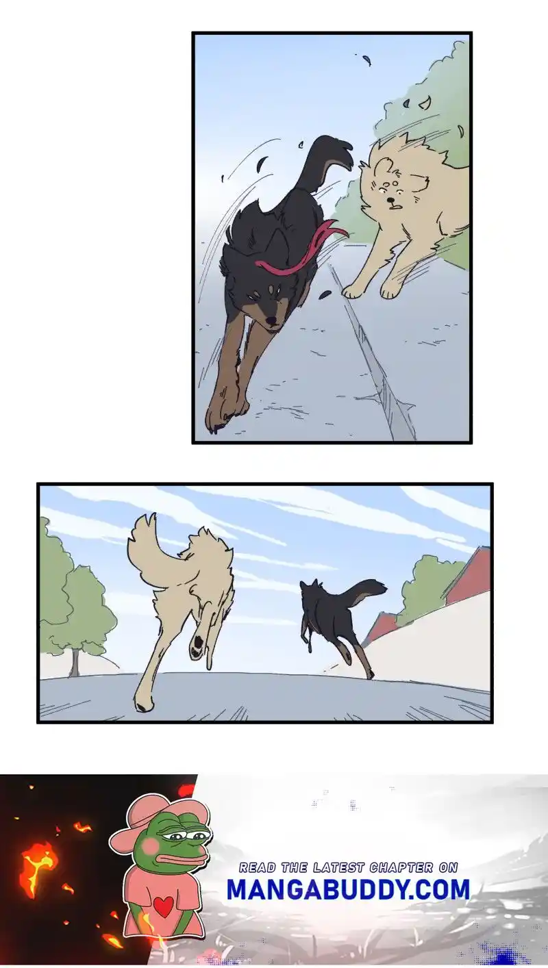 Read LUMINE Manga Online