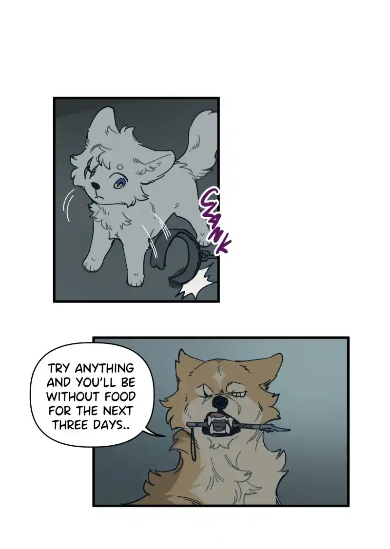 Read LUMINE Manga Online