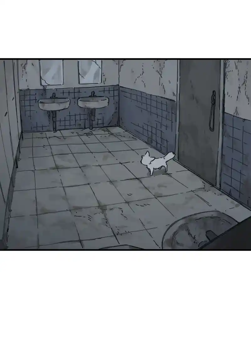 Read LUMINE Manga Online