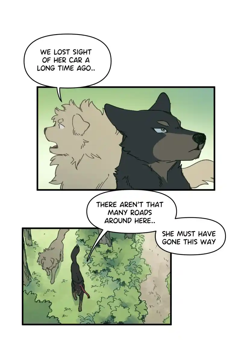 Read LUMINE Manga Online