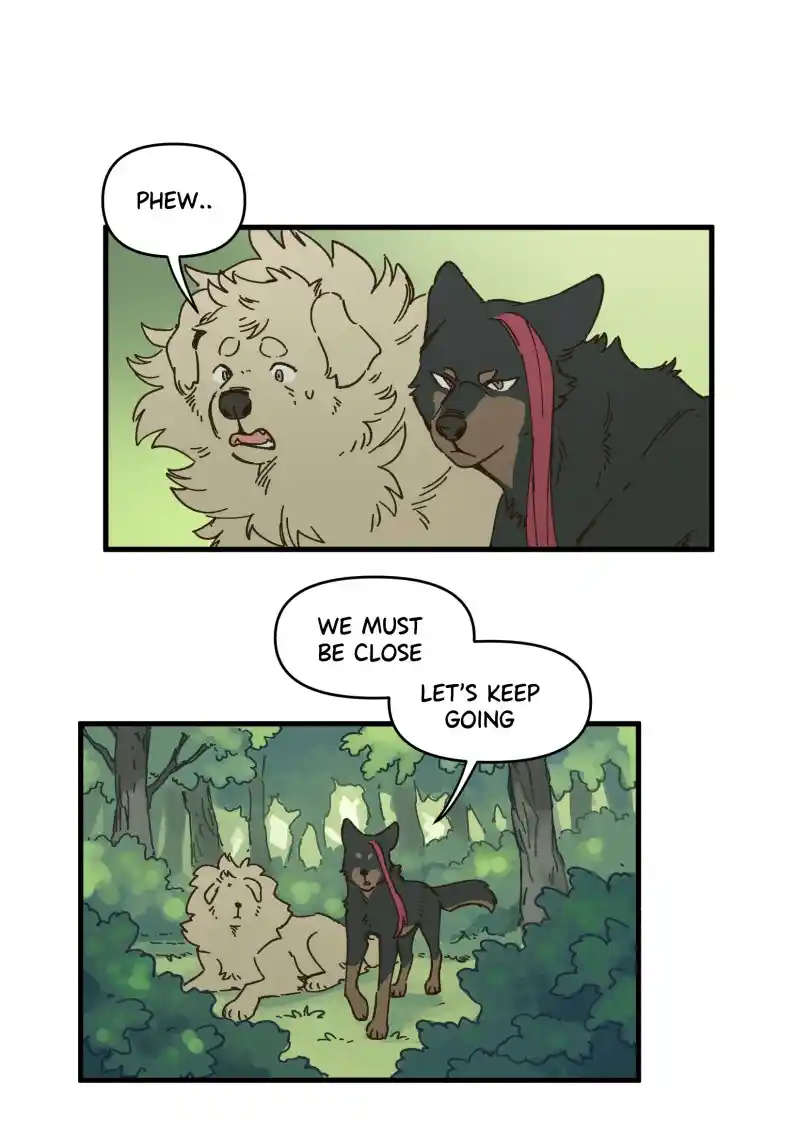 Read LUMINE Manga Online