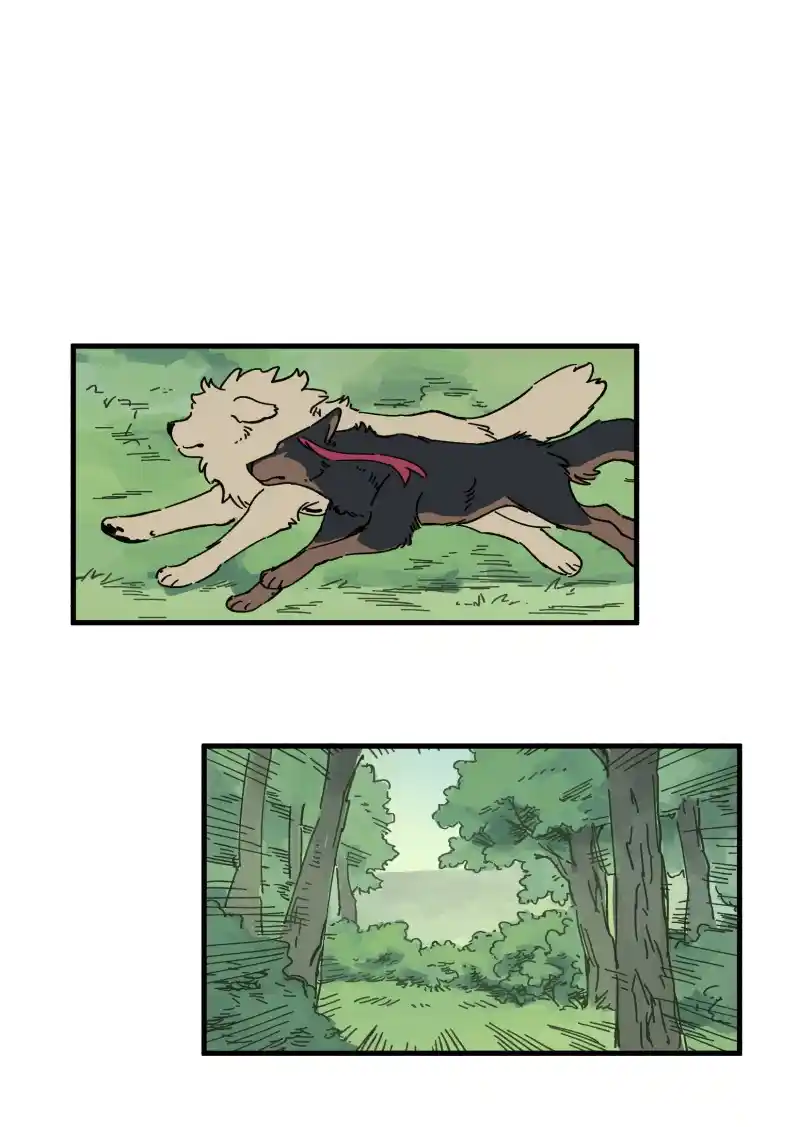 Read LUMINE Manga Online