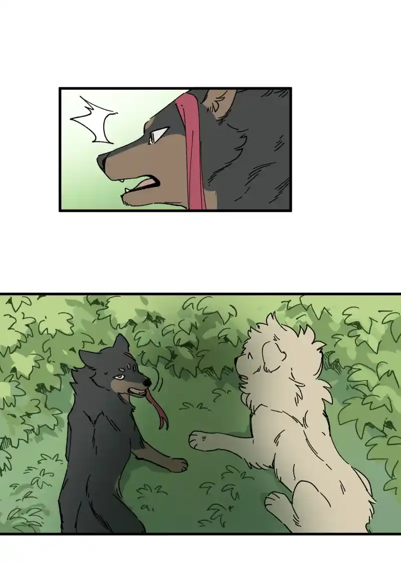 Read LUMINE Manga Online