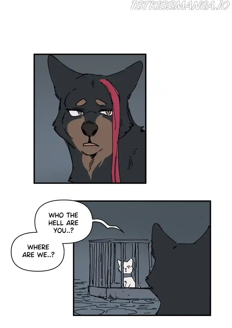 Read LUMINE Manga Online