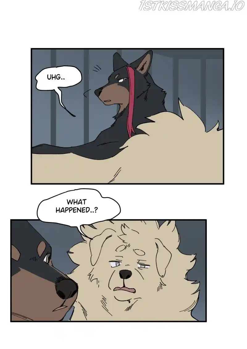 Read LUMINE Manga Online