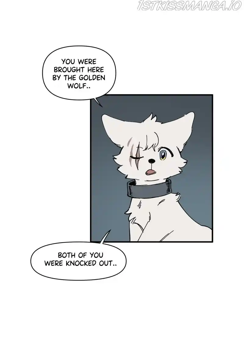 Read LUMINE Manga Online