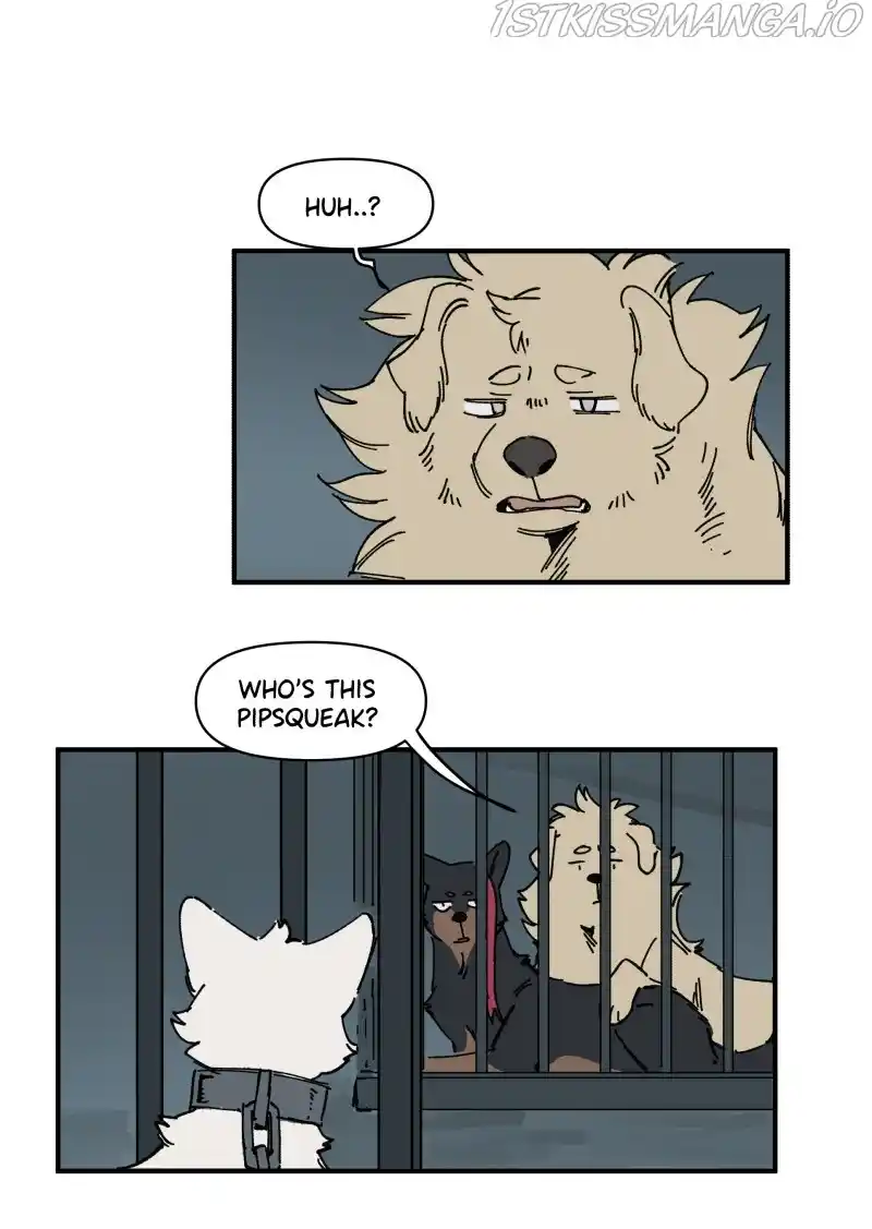 Read LUMINE Manga Online