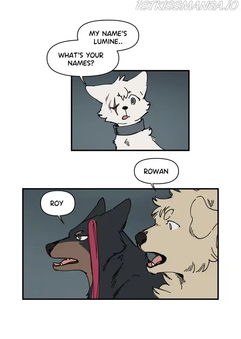 Read LUMINE Manga Online