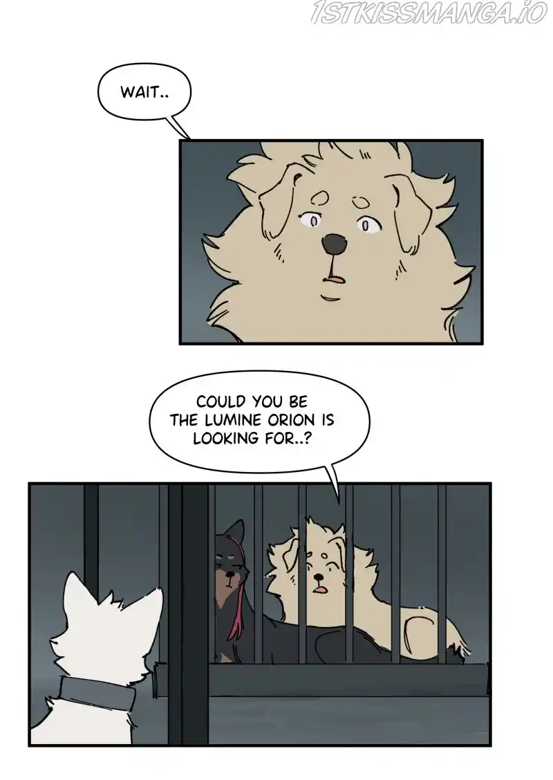 Read LUMINE Manga Online