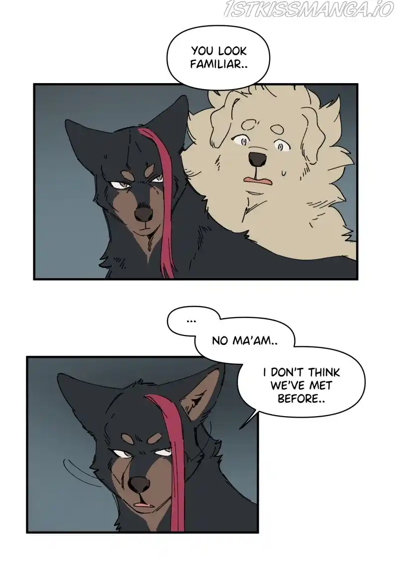 Read LUMINE Manga Online