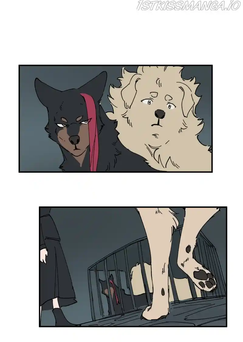 Read LUMINE Manga Online