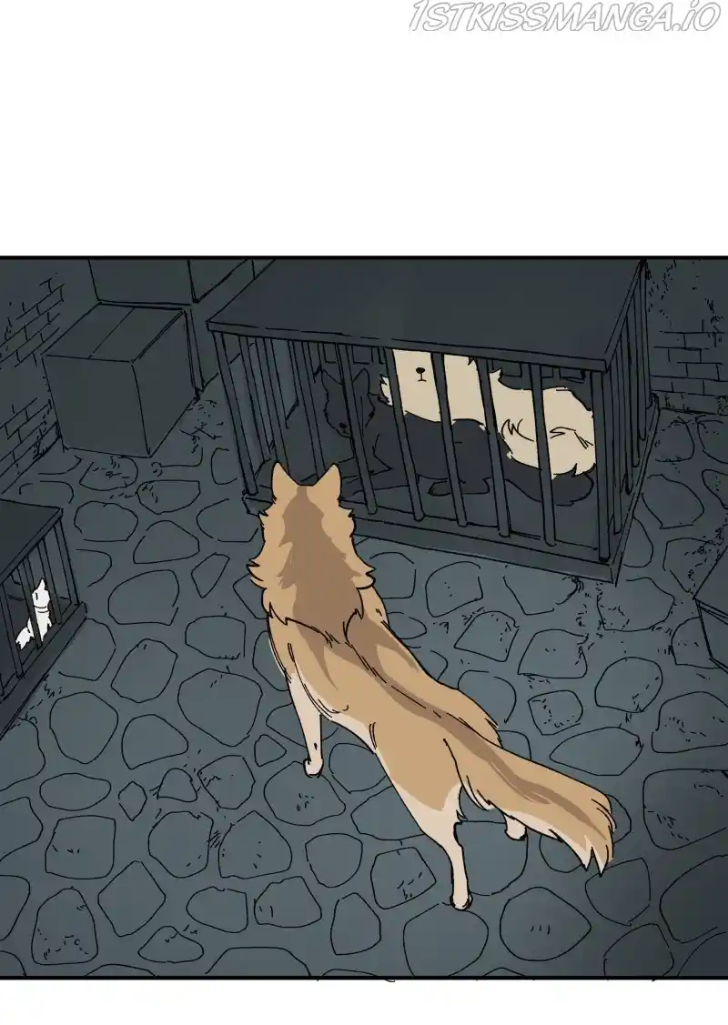 Read LUMINE Manga Online