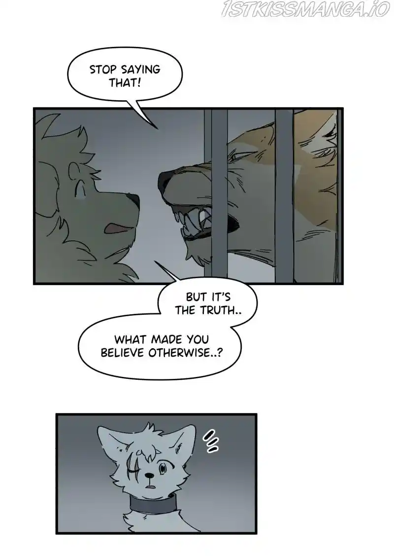 Read LUMINE Manga Online