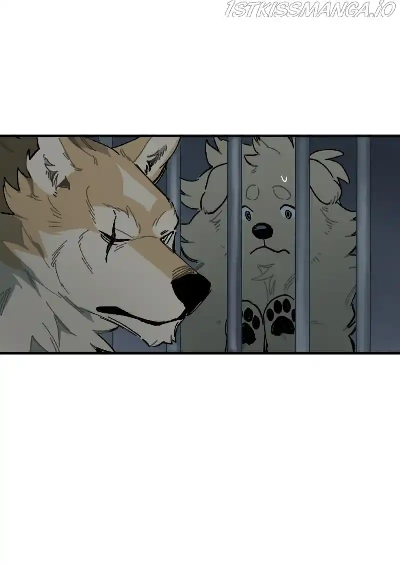 Read LUMINE Manga Online