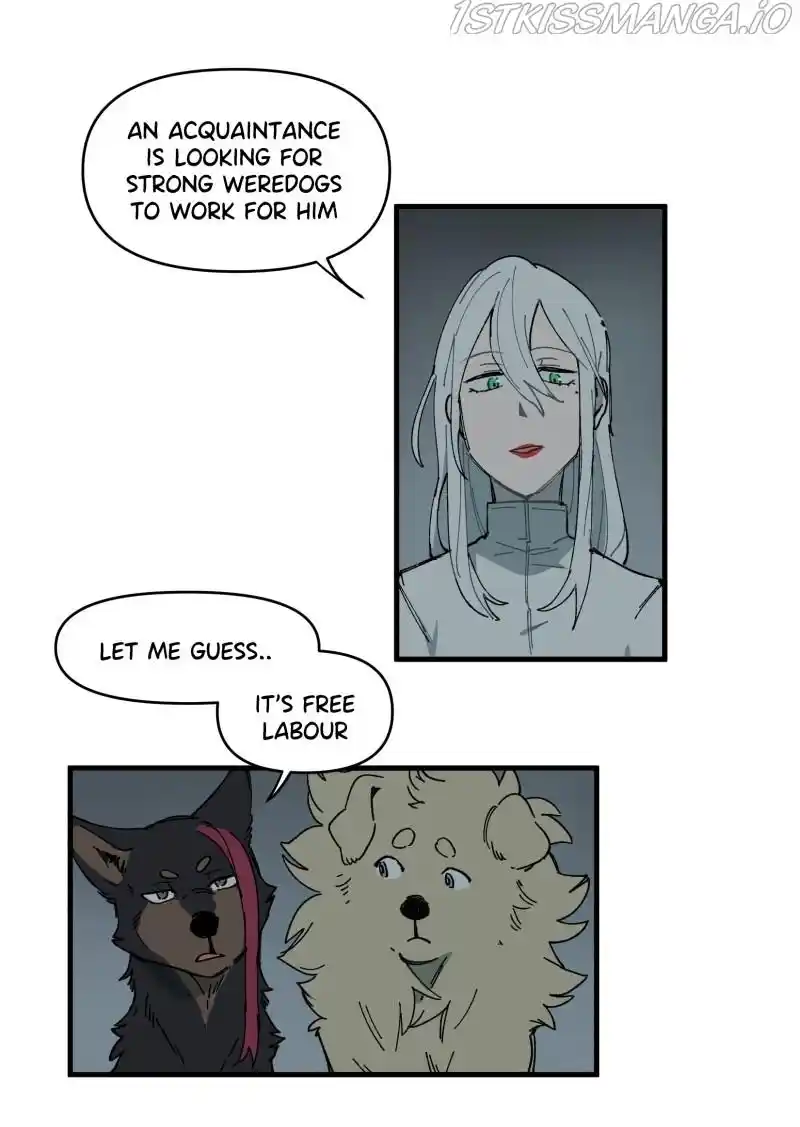 Read LUMINE Manga Online