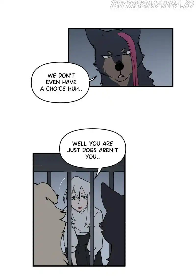 Read LUMINE Manga Online