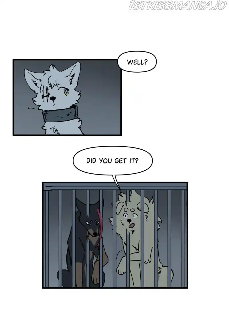 Read LUMINE Manga Online