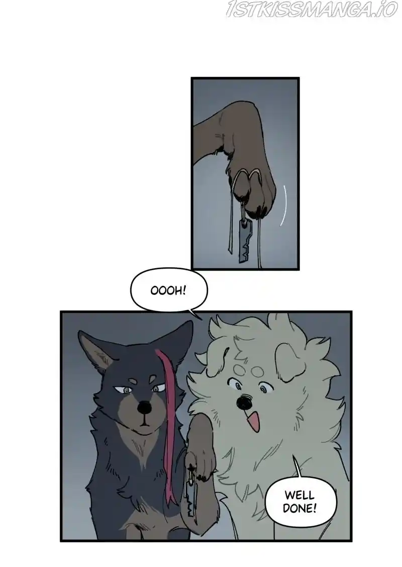 Read LUMINE Manga Online