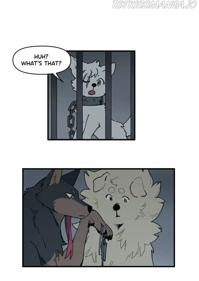 Read LUMINE Manga Online