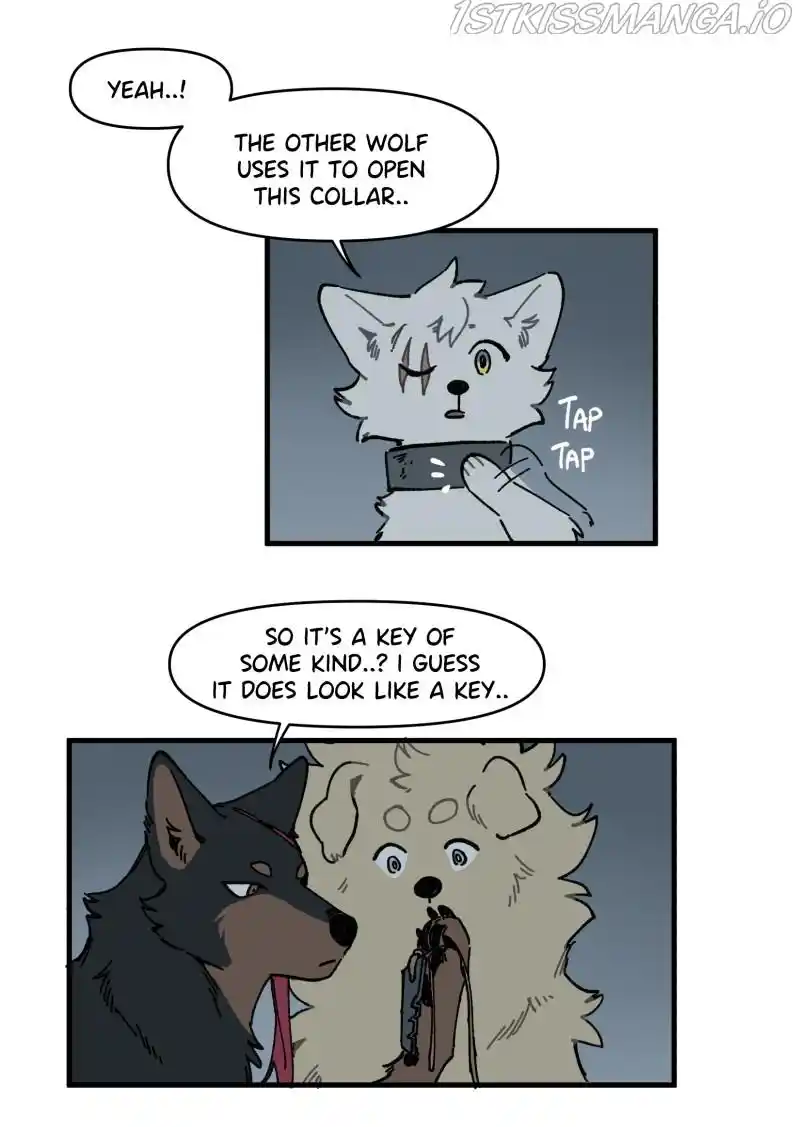 Read LUMINE Manga Online