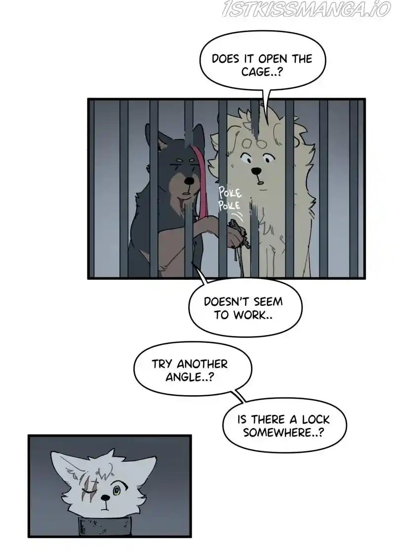 Read LUMINE Manga Online