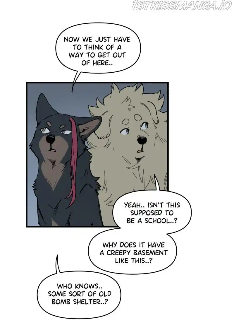 Read LUMINE Manga Online