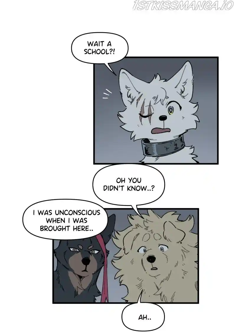 Read LUMINE Manga Online