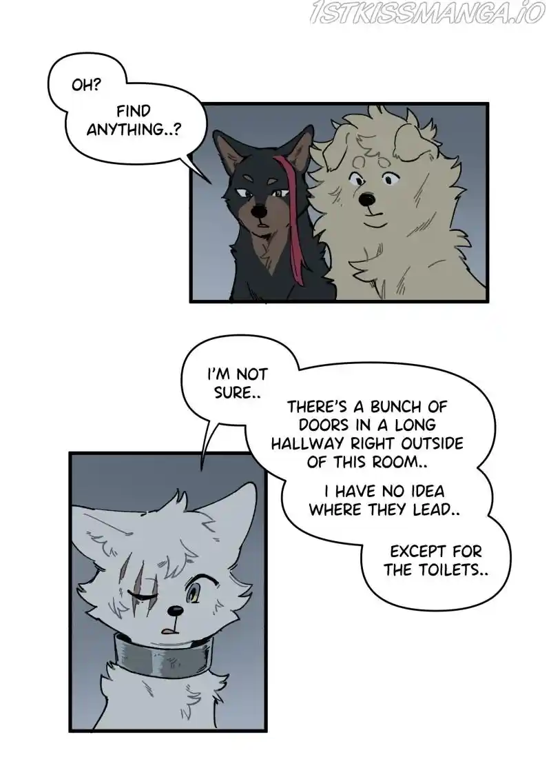 Read LUMINE Manga Online