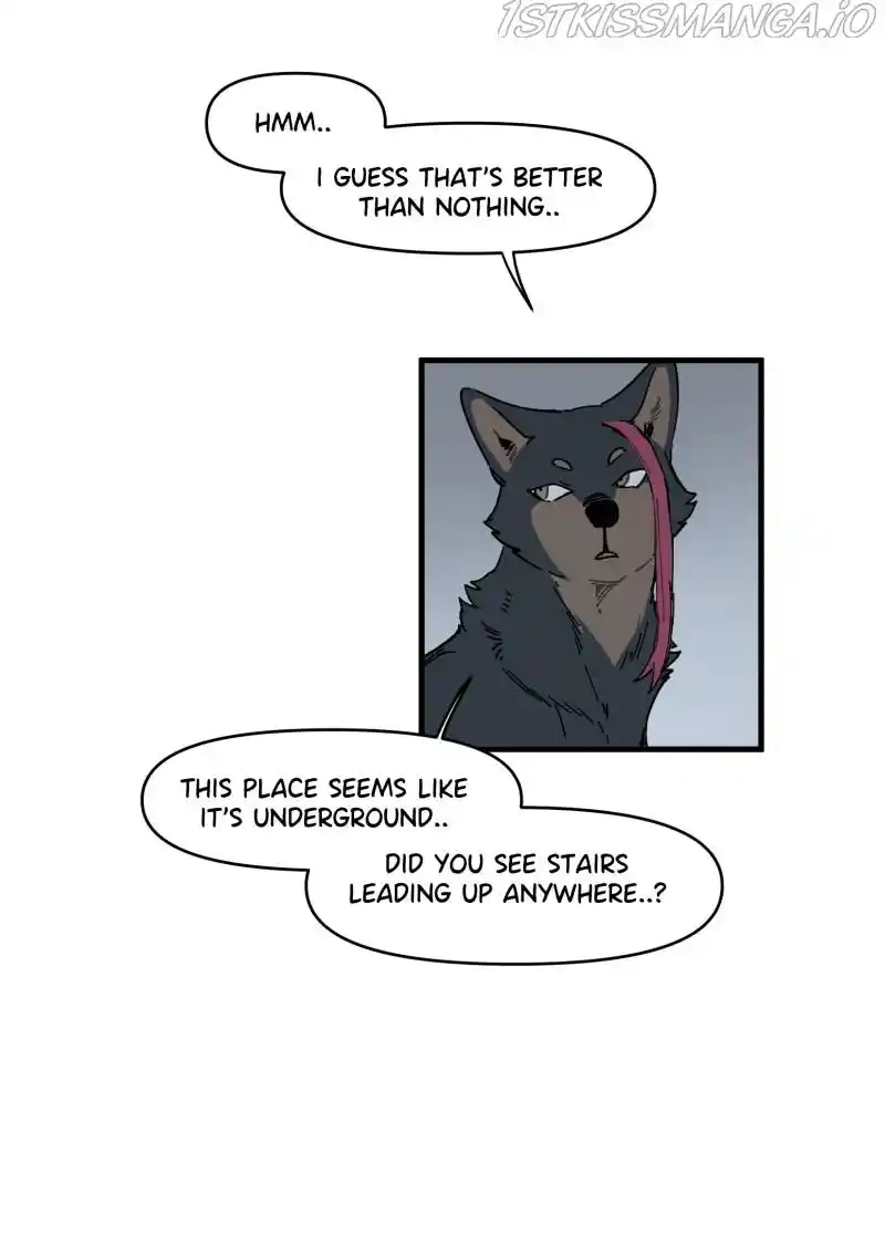 Read LUMINE Manga Online