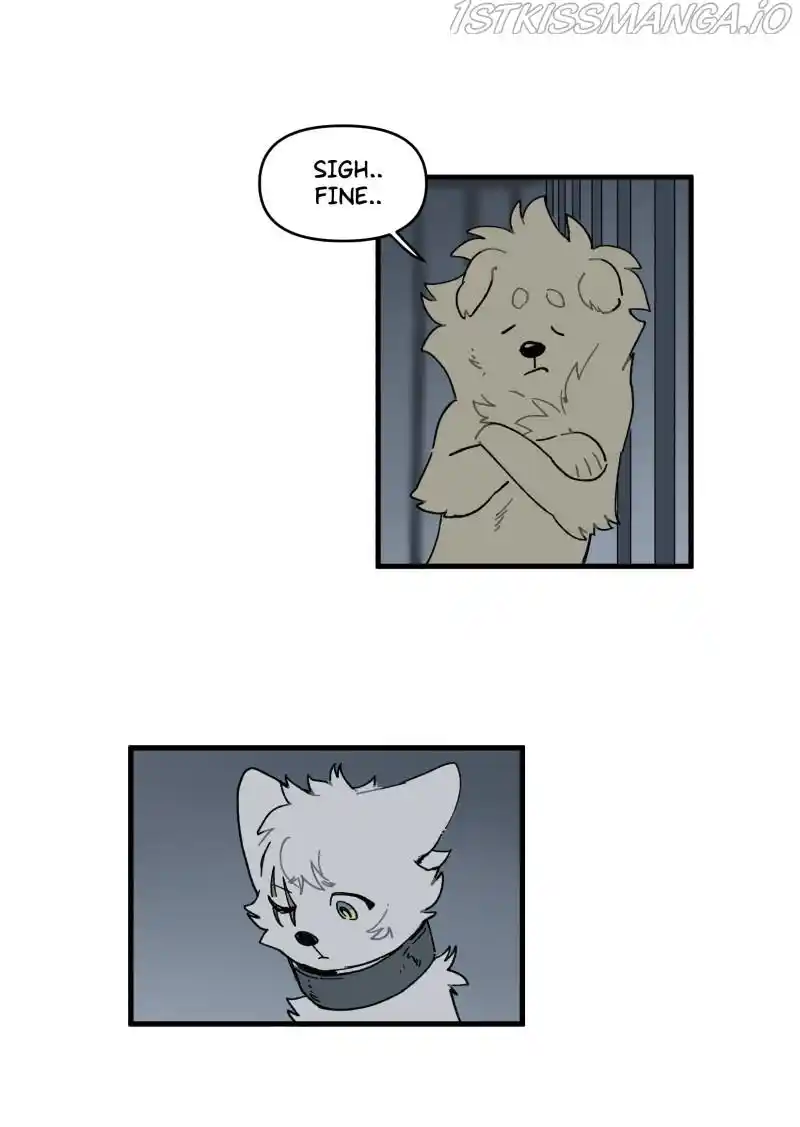 Read LUMINE Manga Online