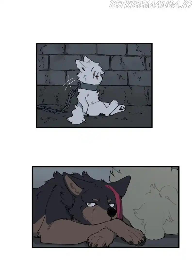 Read LUMINE Manga Online