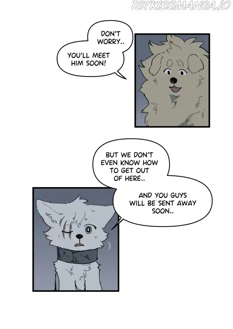 Read LUMINE Manga Online