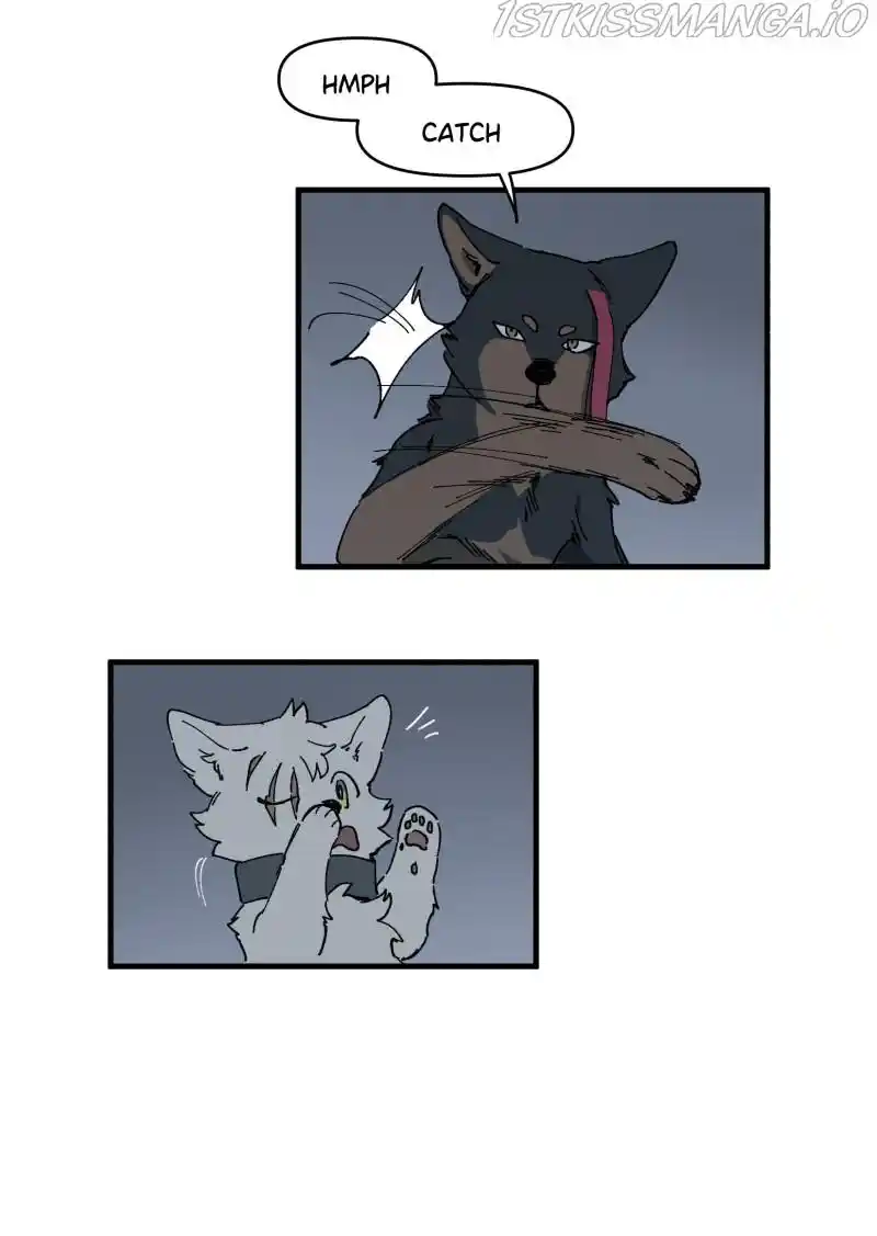 Read LUMINE Manga Online